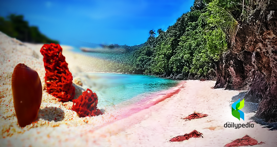 Look Fascinating Pink Sand Beaches Found In The Philippines Dailypedia